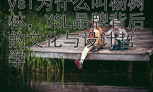 ysl为什么叫杨树林，YSL品牌背后的文化与设计哲学插图