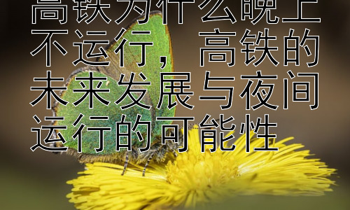 高铁为什么晚上不运行，高铁的未来发展与夜间运行的可能性插图