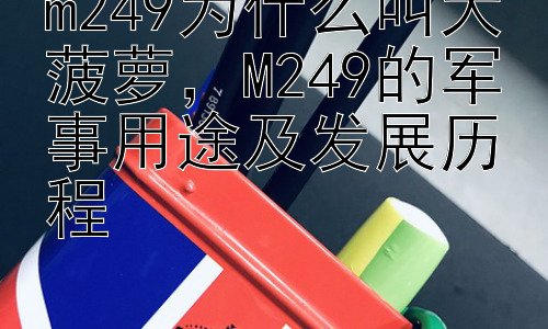 m249为什么叫大菠萝，M249的军事用途及发展历程插图