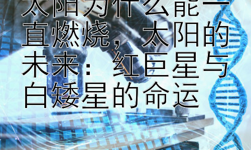 太阳为什么能一直燃烧，太阳的未来：红巨星与白矮星的命运插图