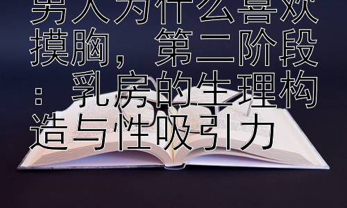 男人为什么喜欢摸胸，第二阶段：乳房的生理构造与性吸引力插图