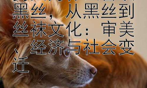 男人为什么喜欢黑丝，从黑丝到丝袜文化：审美、经济与社会变迁插图