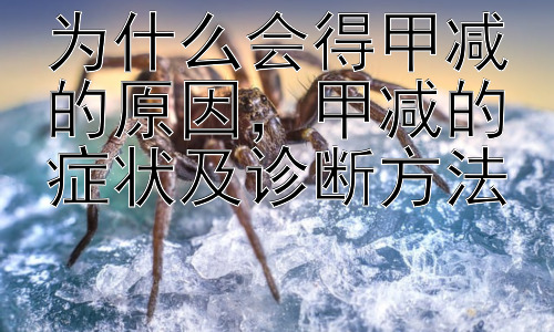 为什么会得甲减的原因，甲减的症状及诊断方法插图
