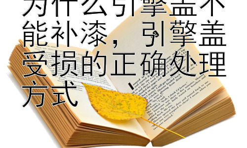 为什么引擎盖不能补漆，引擎盖受损的正确处理方式插图
