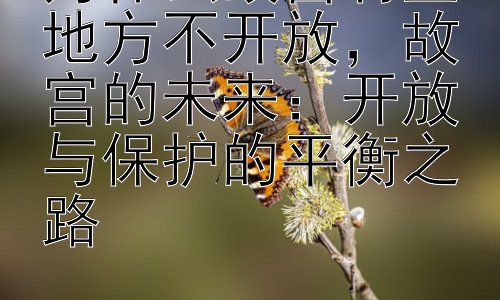 为什么故宫有些地方不开放，故宫的未来：开放与保护的平衡之路插图
