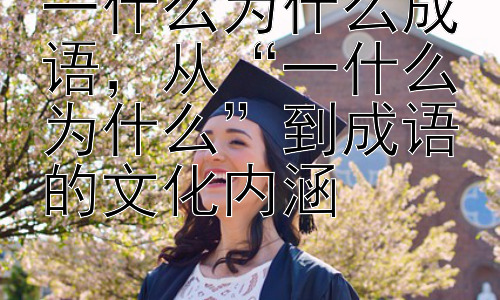 一什么为什么成语，从“一什么为什么”到成语的文化内涵插图
