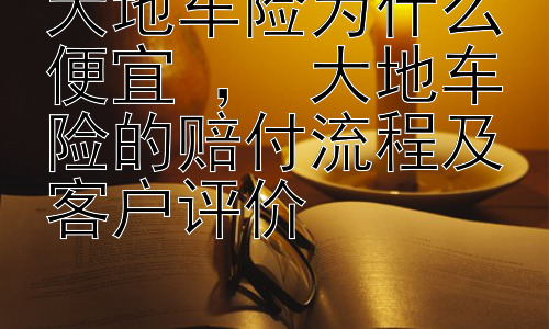 大地车险为什么便宜 ， 大地车险的赔付流程及客户评价插图