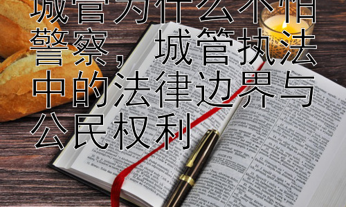 城管为什么不怕警察，城管执法中的法律边界与公民权利插图