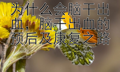 为什么会脑干出血，脑干出血的预后及康复之路插图