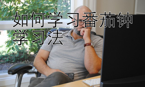 如何学习番茄钟学习法，番茄钟学习法与不同学习风格的匹配插图