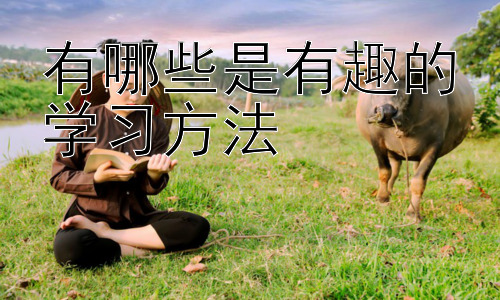 有哪些是有趣的学习方法，拓展：如何激发学习的内在动力插图