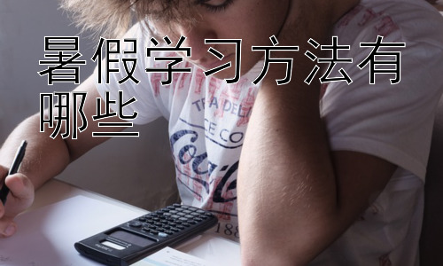 暑假学习方法有哪些，  提升暑假学习效率的实用技巧插图