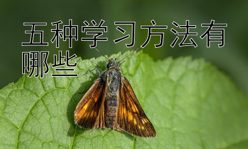五种学习方法有哪些，不同学习阶段的学习方法选择插图