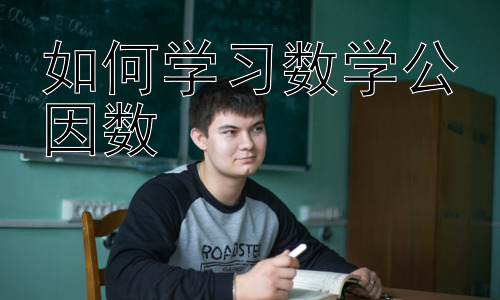 如何学习数学公因数，公因数与分数的化简插图