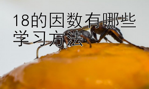 18的因数有哪些学习学习方法， 拓展：如何提升小学生的数学运算能力及解题技巧？插图