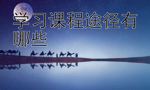学习课程途径有哪些，不同学习风格与学习途径的匹配插图