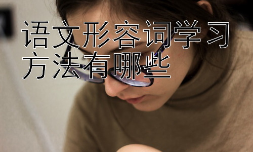 语文形容词学习方法有哪些，形容词在不同文体中的运用策略插图