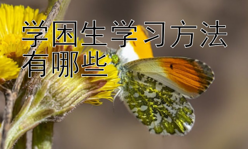 学困生学习方法有哪些，学困生的心理辅导与学习动机激发插图