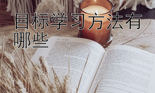 目标学习方法有哪些，  提升学习目标设定技巧：从宏观规划到微观执行插图