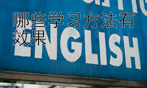 哪些学习方法有效果，不同学习风格的学习方法选择插图