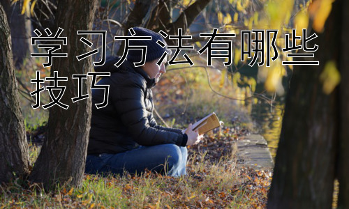 学习方法有哪些技巧，拓展：如何克服学习中的拖延症插图