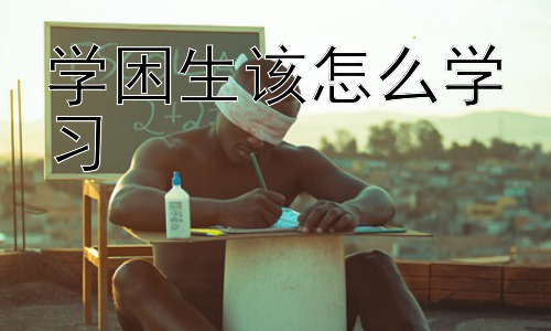 学困生该怎么学习，学困生学习方法的个体差异与精准化教学插图