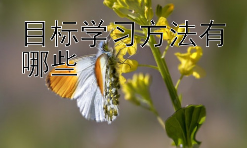 目标学习方法有哪些，深度学习与目标设定：如何将目标融入深度学习过程插图