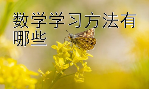数学学习方法有哪些，  提升数学学习效率的实用技巧插图