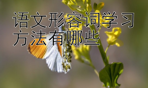 语文形容词学习方法有哪些，  形容词的修辞运用及写作技巧插图