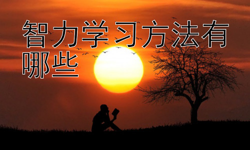 智力学习方法有哪些，提升学习效率的实用技巧插图