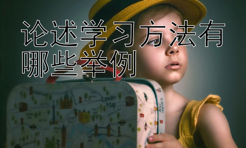 论述学习方法有哪些举例，学习方法的个性化调整与实践插图