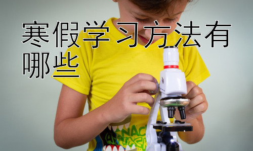 寒假学习方法有哪些，寒假高效学习：时间管理与学习方法的结合插图