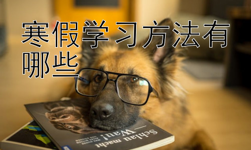 寒假学习方法有哪些，  寒假学习效率提升的实用技巧插图