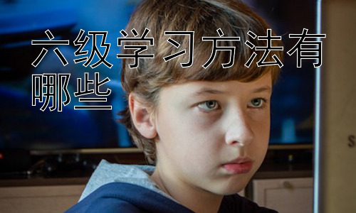 六级学习方法有哪些，高效备考六级：时间管理与学习策略插图