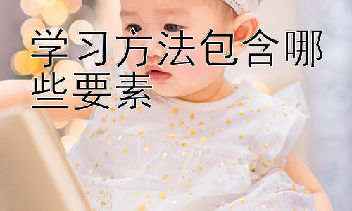 学习方法包含哪些要素，学习方法的个性化调整：因材施教插图