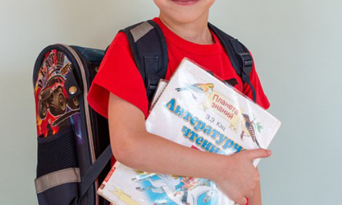 如何激励幼儿学数学，幼儿数学学习中的常见误区及应对策略插图