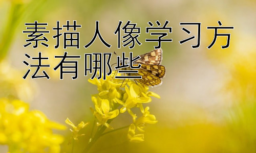 素描人像学习方法有哪些，如何提高人像素描的写实性？插图