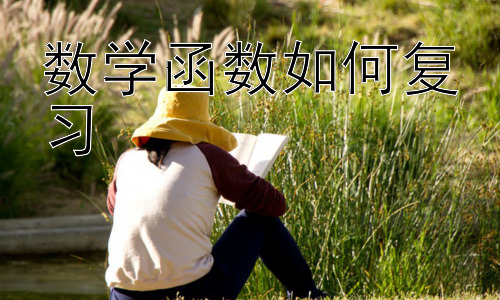 数学函数如何复习，函数图像与实际问题的结合插图