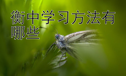 衡中学习方法有哪些， 衡中学习方法的适用性和局限性插图