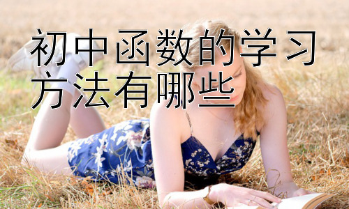 初中函数的学习方法有哪些，初中函数学习中的常见误区及应对策略插图