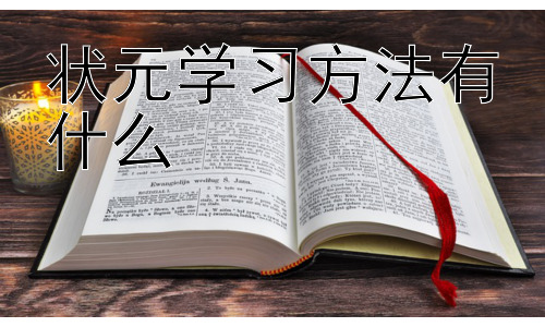 状元学习方法有什么，状元学习方法的时代适应性与创新插图