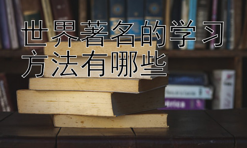 世界著名的学习方法有哪些，不同学习风格的学习方法选择插图