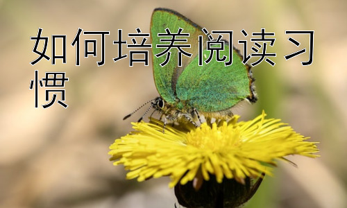 如何培养阅读习惯，阅读与学习能力的提升：相辅相成插图