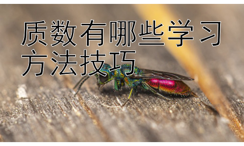 质数有哪些学习方法技巧，质数与合数的区分与应用拓展插图