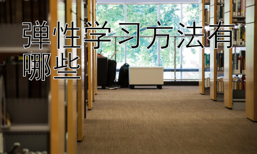 弹性学习方法有哪些，  科技如何赋能弹性学习插图