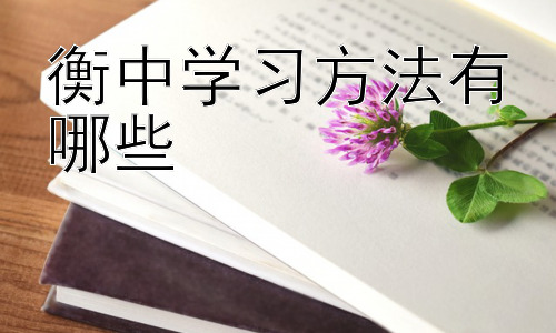 衡中学习方法有哪些，衡中学习方法的适用性与局限性插图