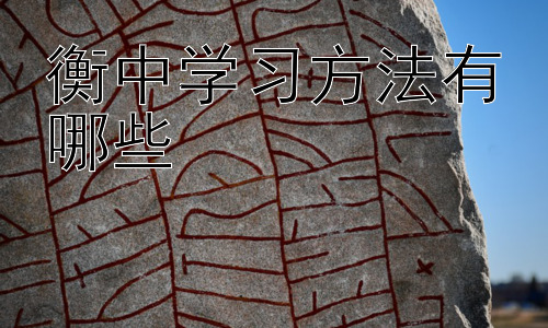 衡中学习方法有哪些，衡中学习方法的适用性和局限性插图
