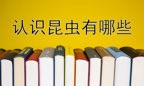 认识昆虫有哪些，昆虫与人类生活：利与弊插图