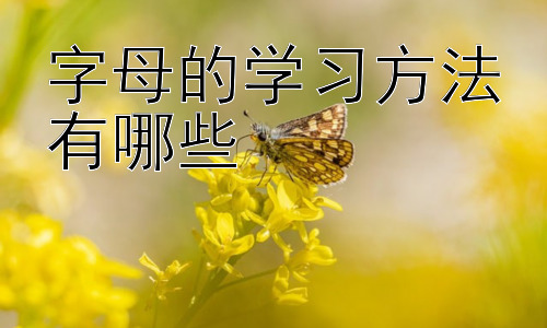 字母的学习方法有哪些 ，  不同年龄段孩子学习字母的策略差异插图