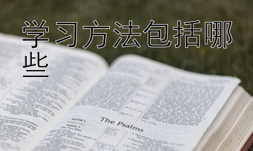 学习方法包括哪些，高效学习的误区及应对策略插图